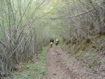 DSC02454.jpg