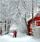 redbike4snow.JPG