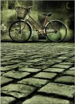 redbike9adoquin.JPG