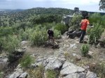 IMG_0042.jpg
