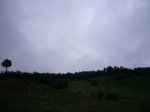 Foto3.JPG