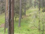 Foto18.JPG