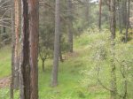 Foto19.JPG