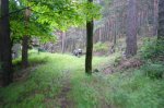 Foto21.JPG