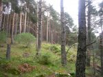 Foto37.JPG