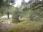 Foto38.JPG
