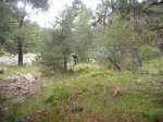 Foto41.JPG