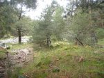 Foto42.JPG