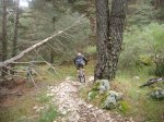 Foto47.JPG