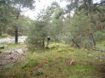 Foto48.JPG