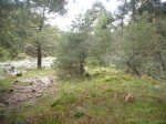 Foto49.JPG