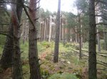 Foto54.JPG