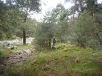 Foto55.JPG