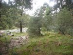 Foto56.JPG