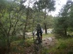 Foto59.JPG