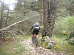 Foto61.JPG