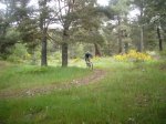 Foto70.JPG