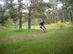 Foto71.JPG