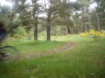 Foto72.JPG