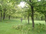 Foto85.JPG