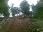 26052008(021).jpg