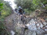 img3009th5.jpg