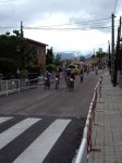 IMGP1185.jpg