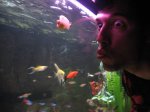 m_IMG_2475.jpg