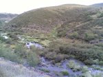 via verde 2008 033.jpg