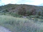 via verde 2008 036.jpg