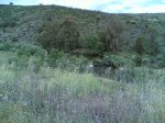 via verde 2008 037.jpg