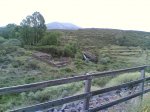 via verde 2008 039.jpg