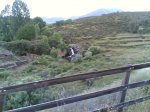 via verde 2008 040.jpg