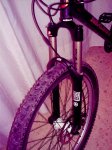 IMAG000182.JPG