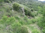 m_IMG_2479.jpg