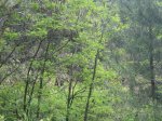m_IMG_2481.jpg