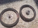 DSC01176.jpg