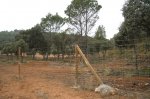 Imagen 011.jpg