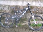 orange 2008 039.jpg