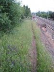 Foto 006.JPG