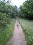 Foto 008.JPG