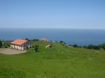 IMG_5267.JPG