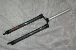 exotic fork.jpg