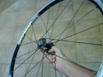 DSC00052.jpg