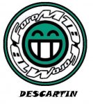 Logo DESCARTIN.jpg