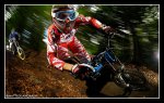 pbpic2059744[1].jpg