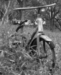 blackbikeold5mini.JPG