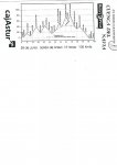 Marcha Reny Picor 2.jpg