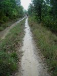 DSC03260.jpg