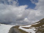resized_DSC03141.jpg
